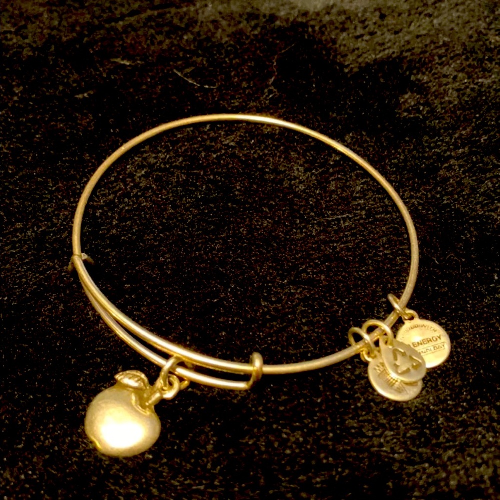 Alex and Ani Silver Apple Bracelet